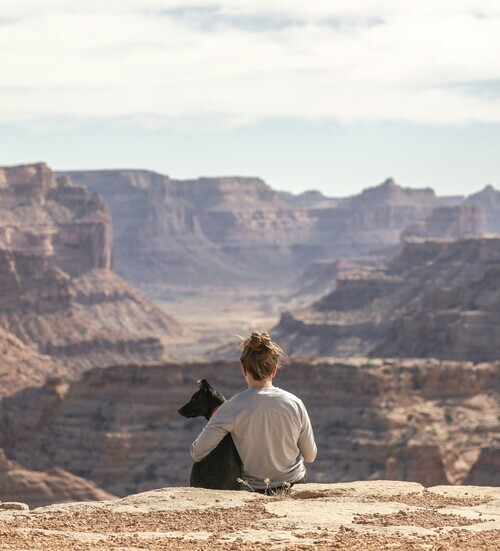 Person sitting with dog overlooking expansive canyon landscape in a quiet moment